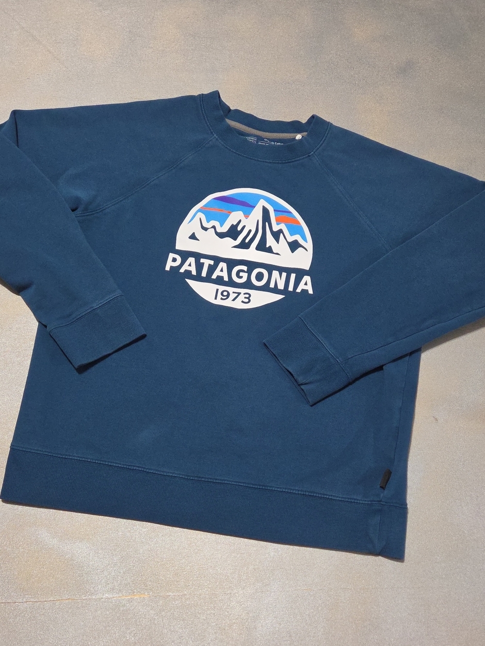 Patagonia Men's Navy Blue Crewneck with Mountain Logo